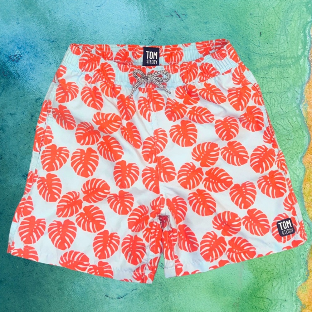 Tom and Teddy boys bathing suit